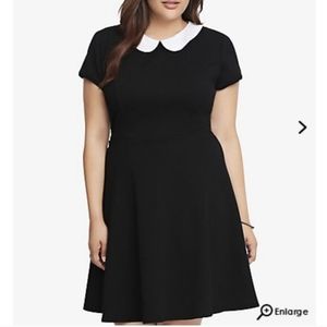 Peter Pan Collar Skater Dress